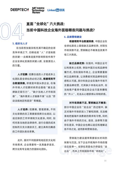 2023中国科技企业全球化发展洞察报告(方式)_本